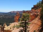 Bryce Canyon (15).JPG